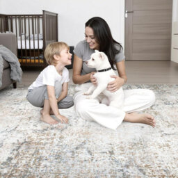 5X7 Area Rug Living Room Rug Washable Modern Abstract Soft Thin Rug Indoor Floor No Slip Stain Resistant Carpet, Brown Grey - thumbnail 9