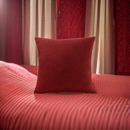 Luxury Living Plain Velvet Chenille Cushion Red - thumbnail 2