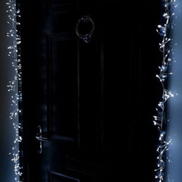 Samuel Alexander 5.5M 880 Led Indoor Outdoor Christmas Door Lights In Cool White - thumbnail 4