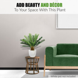 Crystals 60Cm Artificial Palm Tree Realistic Cycas Plant With Lifelike Leaves - thumbnail 5