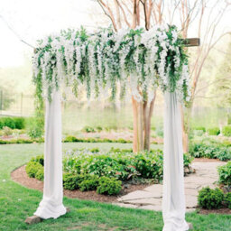 Simulated Wisteria Flowers, Simulated Hanging Artificial Plants (12 Pieces And Pack), Champagne Color - thumbnail 8