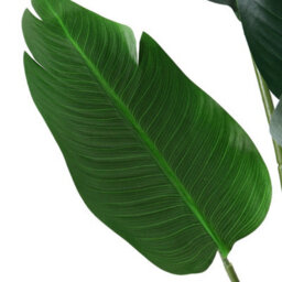 Darphe Simulation Large Artificial Plant Home Outdoor Decoration Banana Tree Potted Plant Height 160 Cm - thumbnail 7