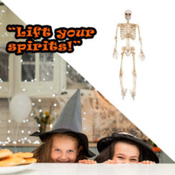 Halloween Skeleton Decoration Led Eyes Trick Or Treat Party 36 Inch - thumbnail 6