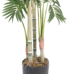 Leaf 120Cm (4Ft) Realistic Artificial Areca Palm With Pot With Silver Metal Planter - thumbnail 4