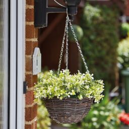 Smart Garden Petunia Artificial Green Round Plastic Hanging Basket, 25Cm - thumbnail 2