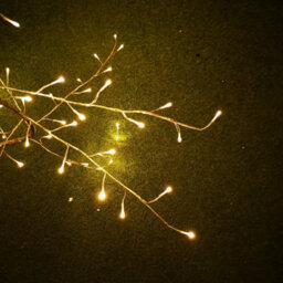 Samuel Alexander 3M Light Up Gold Christmas Garland Branch With 288 Warm White Leds - thumbnail 3