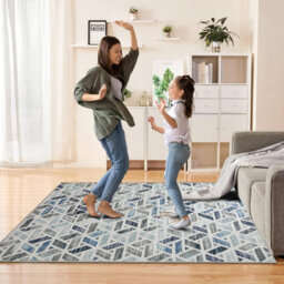 Ameha Luxury Zara Printed Rug Non Slip Bedroom Living Room Hallway Area Carpet 120X170 Cm