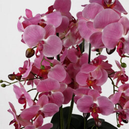 Leaf 60Cm Orchid Artificial Pink Marble Effect Ceramic Planter - thumbnail 2