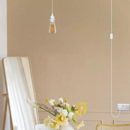 Plug-In Pendant Light Pendant Light On/off Switch 4.5M Cable With Wall Mounted Bracket  Lamp Light For Living Room - thumbnail 5
