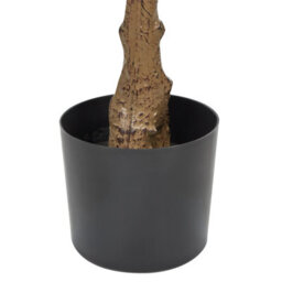 Wyld And Coco Living Artificial Fig Tree 162 Cm - Gloss Green Leaves With Cement-Style Base - thumbnail 5