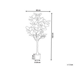Wyld And Coco Living Artificial Fig Tree 162 Cm - Gloss Green Leaves With Cement-Style Base - thumbnail 4