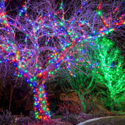 Best Artificial 1000 Multi-Coloured Led's Black Cable Connectable Outdoor Garden Party Waterproof String Lights (100M) Low Voltage Plug - thumbnail 7