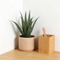 Terracotta 31Cm Aloe Plant Pot With Artificial Plant In Orange Ceramic Pot - thumbnail 4
