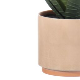 Terracotta 31Cm Aloe Plant Pot With Artificial Plant In Orange Ceramic Pot - thumbnail 3