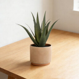 Terracotta 31Cm Aloe Plant Pot With Artificial Plant In Orange Ceramic Pot - thumbnail 1