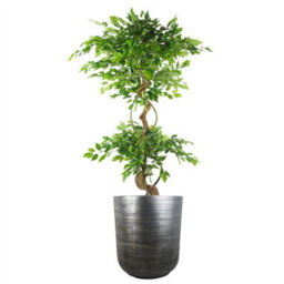 Leaf 47Cm X 41Cm Coya Silver Ridged Planter Extra Large Composite Plant Pot - thumbnail 2