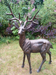 Standing Stag Buck Ornament Cast From Aluminium Large - thumbnail 5