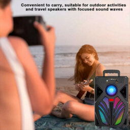 Portable Bluetooth Party Speaker With Mic Input - Heavy Bass, Rechargeable & Led Lights - thumbnail 8
