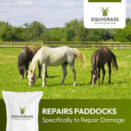 Lawns Direct™ Equigrass™ 15Kg Professional Equestrian Premium Grass Seed For Horse & Pony Paddocks No Clover - Covers 1.5 Acres - thumbnail 5