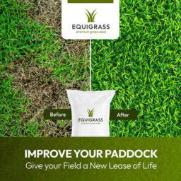 Lawns Direct™ Equigrass™ 15Kg Professional Equestrian Premium Grass Seed For Horse & Pony Paddocks No Clover - Covers 1.5 Acres - thumbnail 3