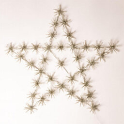Shatchi 65Cm Starburst Star Shape Silhouette With 360 Warm White Leds Twinkling Micro Led Lights Christmas Display - thumbnail 2