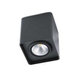Luminosa Lighting Luminosa Tami Led Outdoor Surface Mounted Ceiling Light Dark Grey Ip54