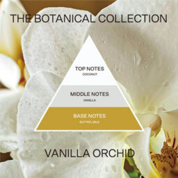 French Connection Vanilla Orchid Real Dried Botanicals Infused Scented Pillar Candle, Vegetable Wax Blend Long-Lasting - thumbnail 7