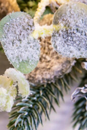 Christmas Tree World 50Cm Pre-Lit Frosted Decorated Pe Pine Wreath With White Berries - thumbnail 8