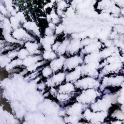 Christmas Tree World 50Cm Pre-Lit Frosted Decorated Pe Pine Wreath With White Berries - thumbnail 3