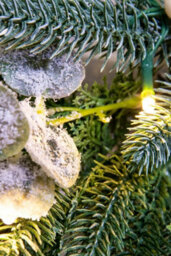 Christmas Tree World 50Cm Pre-Lit Frosted Decorated Pe Pine Wreath With White Berries - thumbnail 6