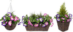 Greenbrokers 2 X Artificial Purple & Pink Petunias Rattan Patio Planters - thumbnail 3