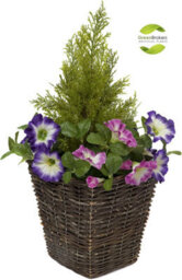 Greenbrokers 2 X Artificial Purple & Pink Petunias Rattan Patio Planters - thumbnail 7