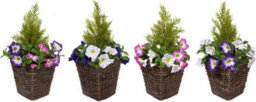 Greenbrokers 2 X Artificial Purple & Pink Petunias Rattan Patio Planters - thumbnail 5