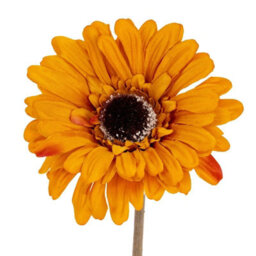 Wyld Haus Set Of 3 Orange Gerbera Artificial Flower Stems 530mm Tall - thumbnail 2