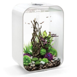Oase Biorb Life 60L Aquarium Fish Tank In White With Multi Colour Led Lighting - thumbnail 4