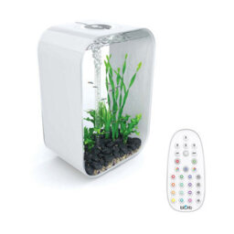 Oase Biorb Life 60L Aquarium Fish Tank In White With Multi Colour Led Lighting - thumbnail 1