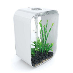 Oase Biorb Life 60L Aquarium Fish Tank In White With Multi Colour Led Lighting - thumbnail 3