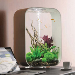 Oase Biorb Life 60L Aquarium Fish Tank In White With Multi Colour Led Lighting - thumbnail 2