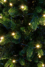 Christmas Tree World The 6Ft/180Cm Outdoor Ultra Slim Mixed Pine - thumbnail 9