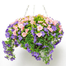 Primrose Large Artificial Petunia Flowers Rattan Hanging Basket Decoration  Purple & Pink 30Cm