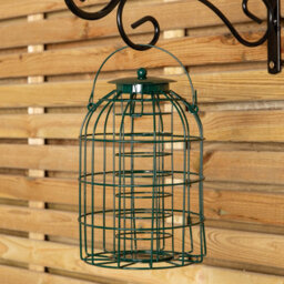 Pack Of 2 Samuel Alexander Metal Hanging Bird Fat Ball Feeder With Squirrel Guard & Pack Of 6 Suet Fat Balls - thumbnail 4