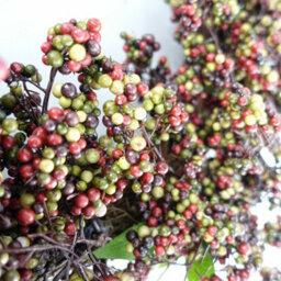Leaf 55Cm Artificial Hanging Black Berries Wreath - thumbnail 3