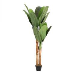 Living And Home Artificial Plant House Plant Fake Garden Plant Banana Tree In Black Pot 150 Cm - thumbnail 5
