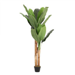 Living And Home Artificial Plant House Plant Fake Garden Plant Banana Tree In Black Pot 150 Cm - thumbnail 4
