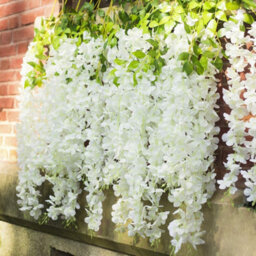 Living And Home Set Of 12 White Artificial Hanging Flowers Simulation Wisteria Flowers Wedding Decor - thumbnail 5
