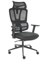Wyld and Coco Black Mesh Office Chair With Adjustable Headrest, Recline, Sliding Seat And 360 Swivel - thumbnail 3
