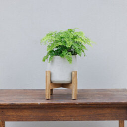 Primrose Textured Concrete Round Garden Planter With Wooden Stand In Cream 30Cm - thumbnail 4