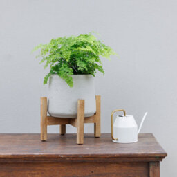 Primrose Textured Concrete Round Garden Planter With Wooden Stand In Cream 30Cm - thumbnail 5