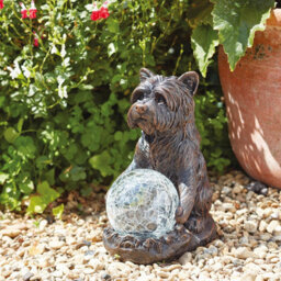 Solar Powered Mystic Dog Garden Ornament - Hand Painted Sculpture With Light Up Led Crackle Glass Ball - H19.5 X W10 X D15.5Cm - thumbnail 1