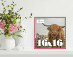 16X16 Pink Picture Frame (40.6 X 40.6Cm) Poster, Photo, Artwork, Gallery Wall Or Print - thumbnail 2
